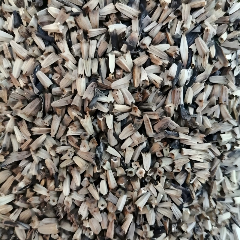 �ɹ�������